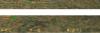 [Image: post-7779-088435000%201281562802_thumb.jpg]