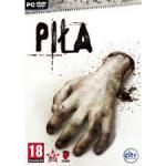 pro sagab maste - zdjęcie