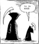 Kosa :D - zdjęcie