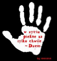 Haiu - zdjęcie