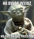 Master Yoga - zdjęcie