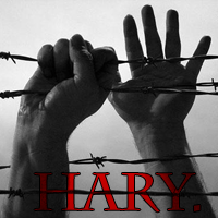 HaRy. - zdjęcie