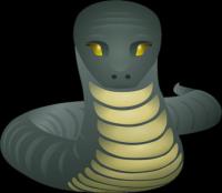 wonsz żeczny - zdjęcie