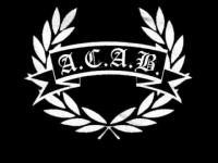 BrX - zdjęcie