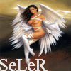 Seler - zdjęcie