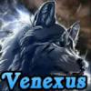venexus - zdjęcie