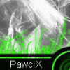 PawciX - zdjęcie